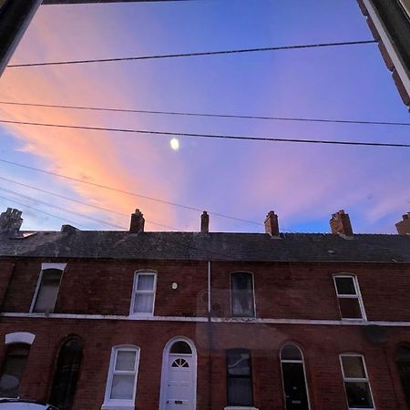 Belfast Victorian Terrace Daire Dış mekan fotoğraf